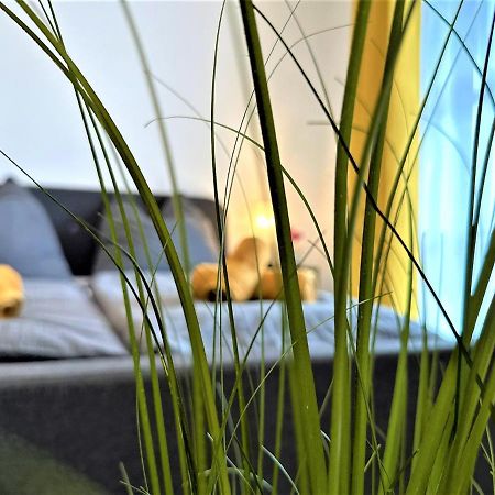 Gemuetliches Studio Im Bayerwald +Pool +Sauna +Wifi تزفيسل المظهر الخارجي الصورة